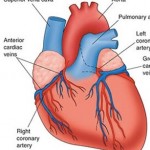 Cardiac Care